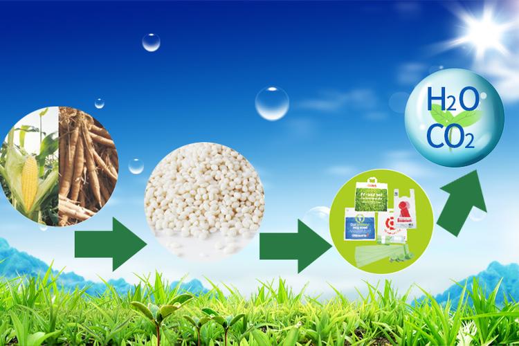 工厂定制生物可降解玩具网兜包装网ok compost tuv认证
