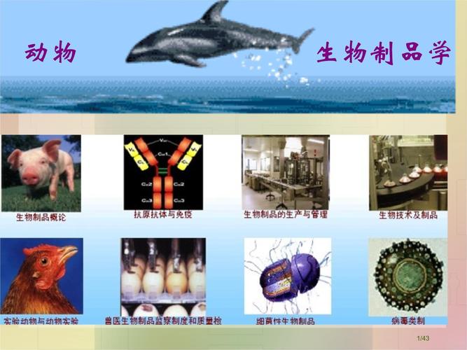 生物制品概论